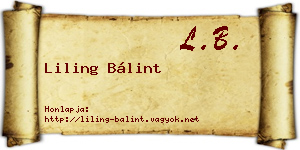 Liling Bálint névjegykártya